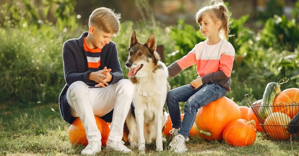 can dogs eat pumpkin