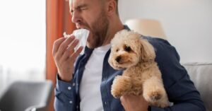 dog coughing and gagging