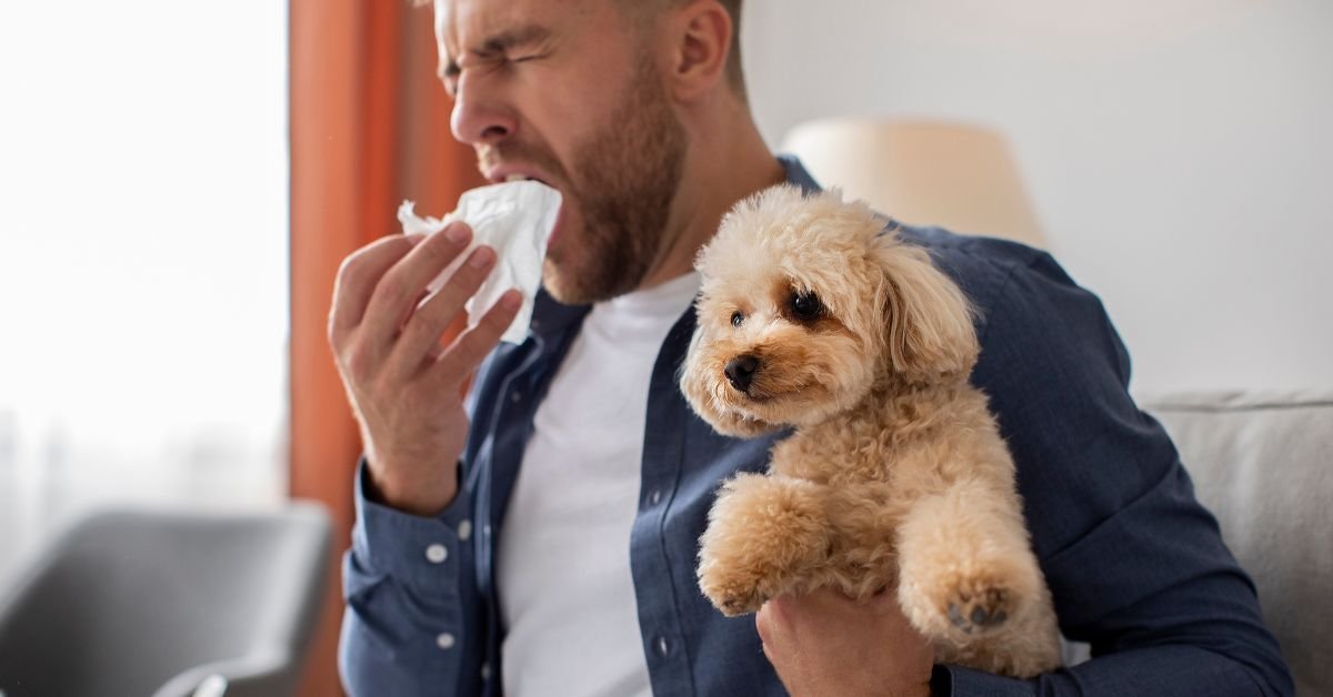 dog coughing and gagging