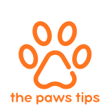 the paw tips
