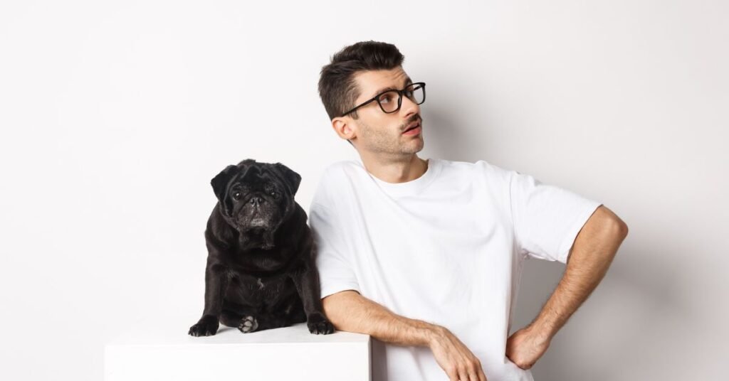 dog in a shirt