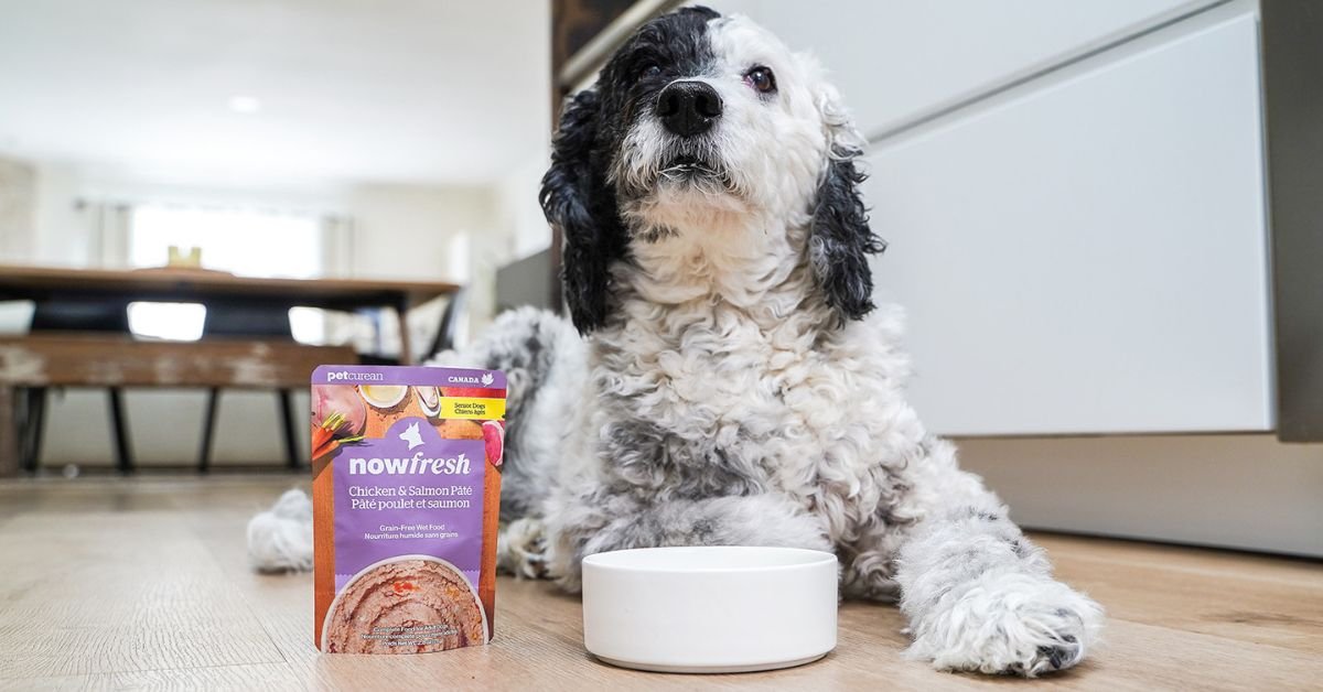 grain free dog food