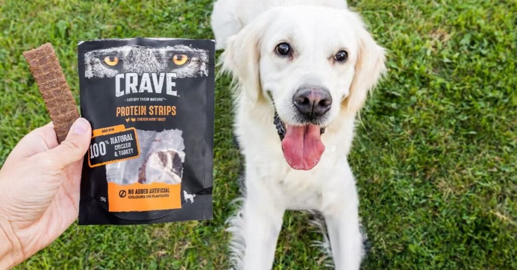 high protein dog food
