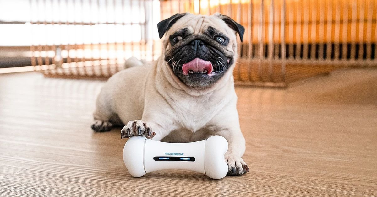 interactive dog toys