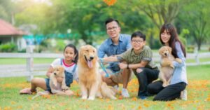 nice family dog