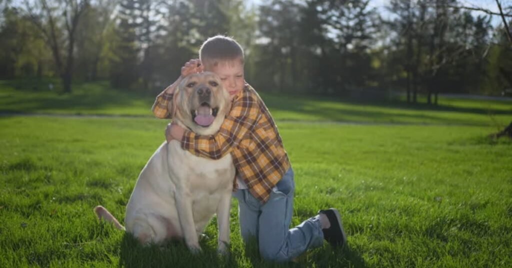 nice family dog