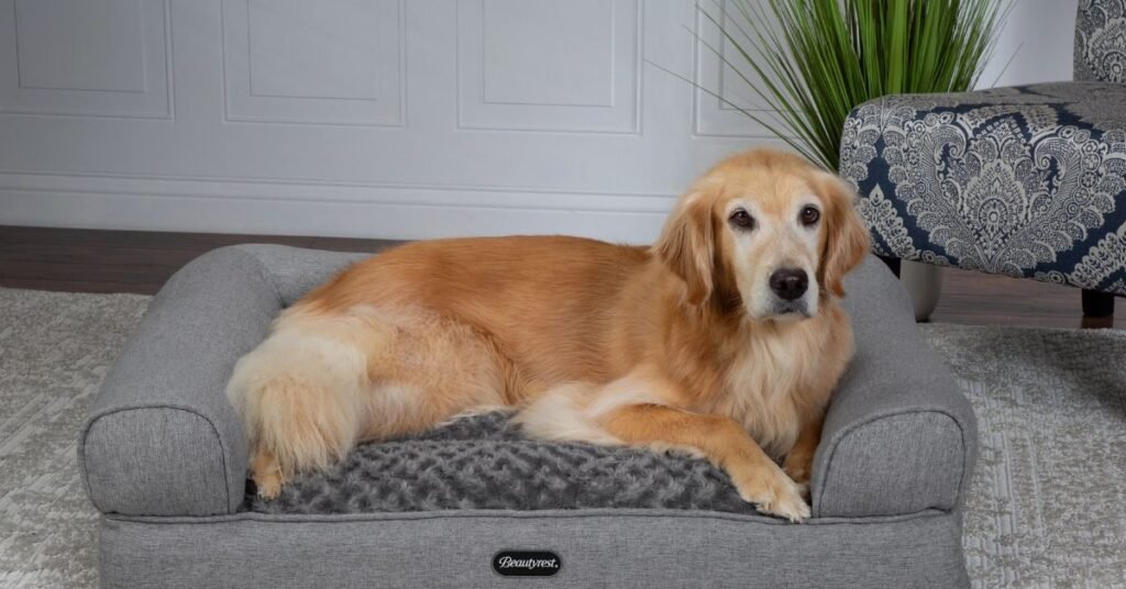 beautyrest ultra plush cuddler pet bed