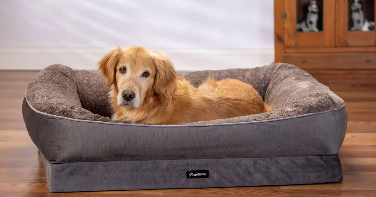 beautyrest ultra plush cuddler pet bed